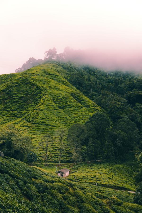 Heritage Hotel Cameron Highlands Zewnętrze zdjęcie